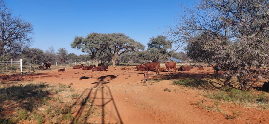 Commercial Property for Sale in Griekwastad Rural Northern Cape